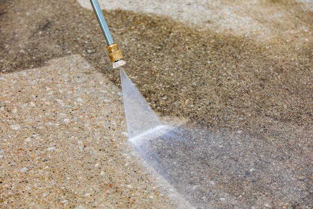 Animal Enclosure Cleaning in Celina, OH